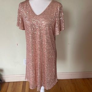 Rose gold sequin dress